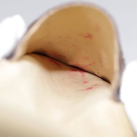 LOUIS VUITTON Monogram Etui Lunette Rabat Glasses Case M62970 LV Auth 87475 - Picture 10 of 16